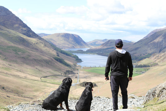 Man hiking with dogs creating healthy habits with Intenergy